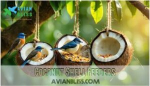 coconut shell feeders