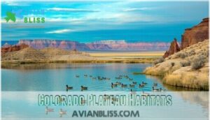 colorado plateau habitats