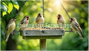 common seed eating birds