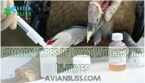 common types of avian wounds and injuries