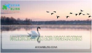 communication and vocalization
