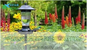 companion plants for hummingbirds