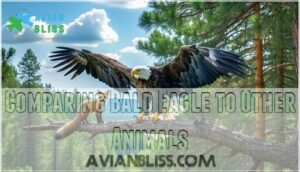 comparing bald eagle to other animals