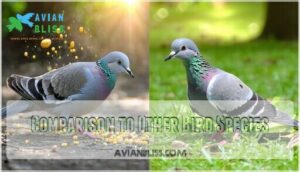 comparison to other bird species comparison to other bird species