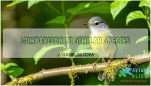 comparison to similar species