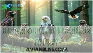 comparison with other birds of prey