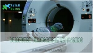 computed tomography (ct) scans