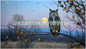 conservation and importance