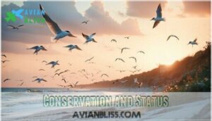 conservation and status