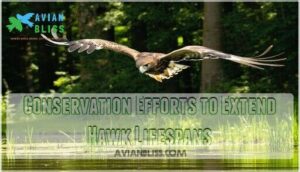 conservation efforts to extend hawk lifespans