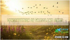 conservation of grassland birds