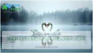 conservation of monogamous birds