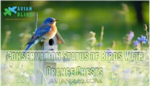 conservation status of birds with orange chests