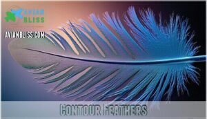 contour feathers contour feathers
