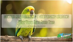 conure head bobbing