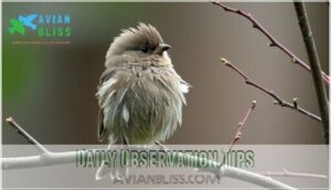 daily observation tips daily observation tips