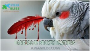 dangers of broken feathers