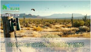 desert and grassland birding sites