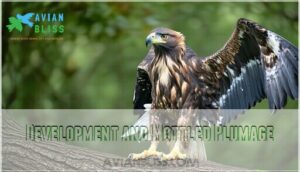 development and mottled plumage