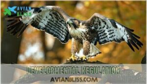 developmental regulation