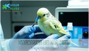 diagnosing air sac mites