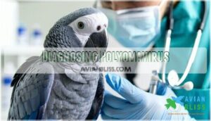 diagnosing polyomavirus diagnosing polyomavirus