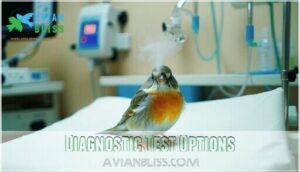 diagnostic test options