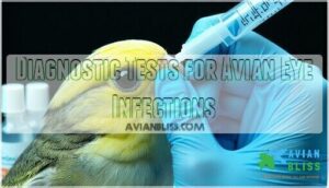 diagnostic tests for avian eye infections