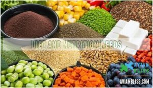 diet and nutrition needs