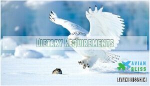 dietary requirements