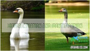 differentiation and identification