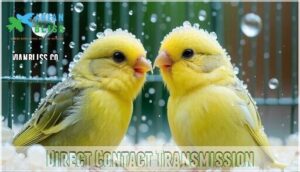 direct contact transmission