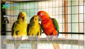direct contact with infected birds direct contact with infected birds