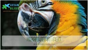 discolored beak