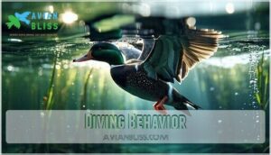 diving behavior