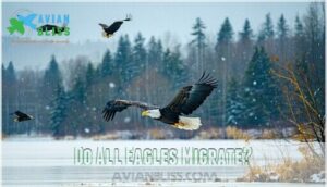 do all eagles migrate