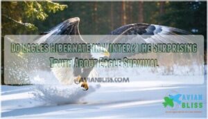 do eagles hibernate in the winter