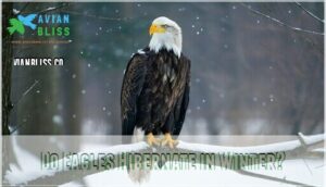 do eagles hibernate in winter