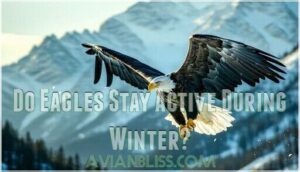 do eagles stay active during winter