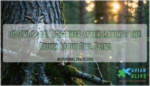 do owls stay together after mating