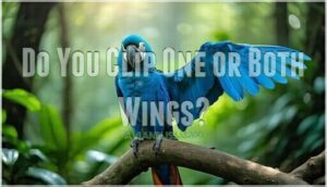 do you clip one or both wings