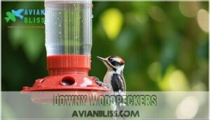 downy woodpeckers