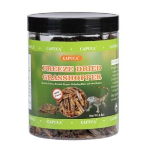 Dried Grasshoppers Reptile Food All B0CNXHS7ZL
