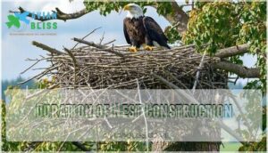 duration of nest construction duration of nest construction
