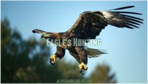 eagle's hunting