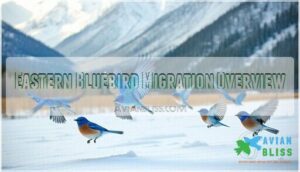eastern bluebird migration overview