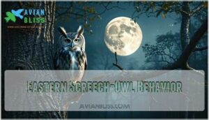 eastern screech-owl behavior