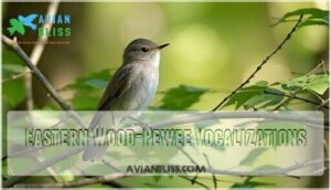 eastern wood-pewee vocalizations