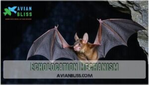 echolocation mechanism