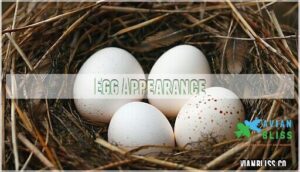 egg appearance egg appearance